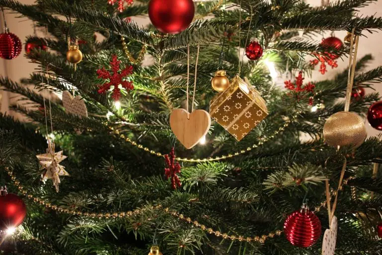 How Long Do Real Christmas Trees Last