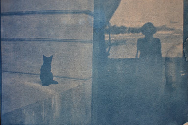 Artistic cyanotype print featuring a silhouette of a person and a cat with a vintage feel.