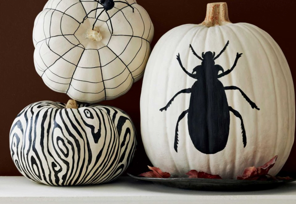 black and white mini pumpkins designs