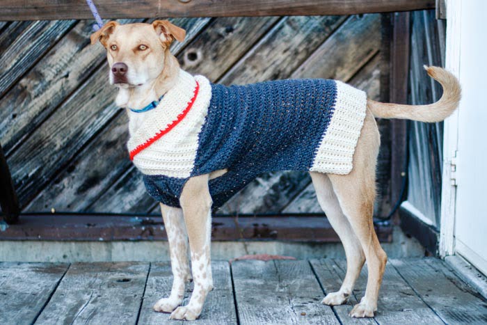free posh dog sweater crochet pattern