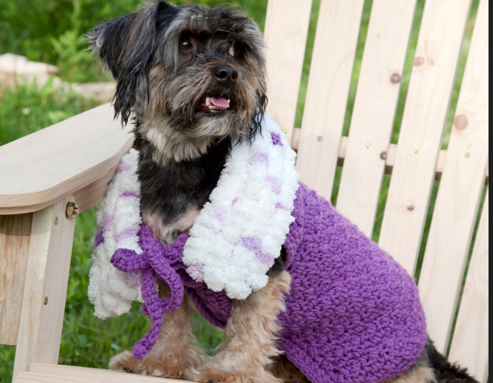 cute free crochet doggy sweater coat