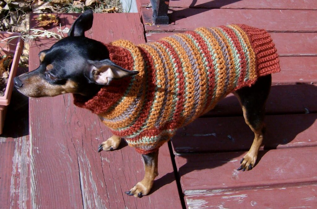striped fall dog sweater pattern free