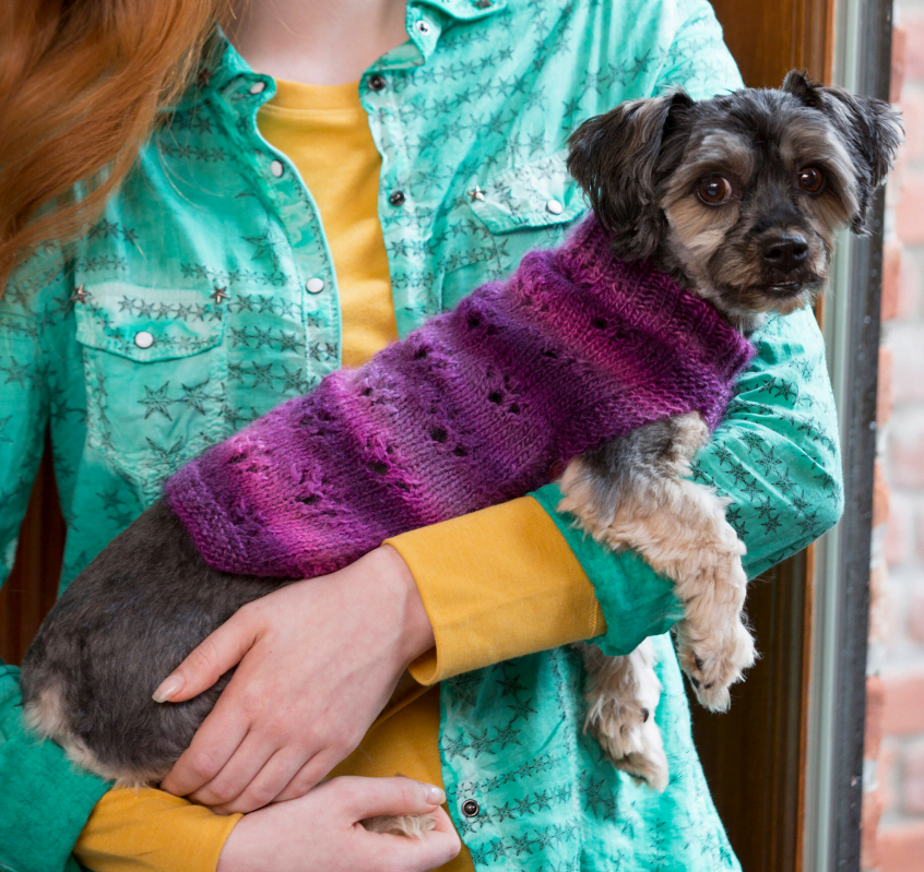 10 Free Easy Knit Dog Sweater Patterns