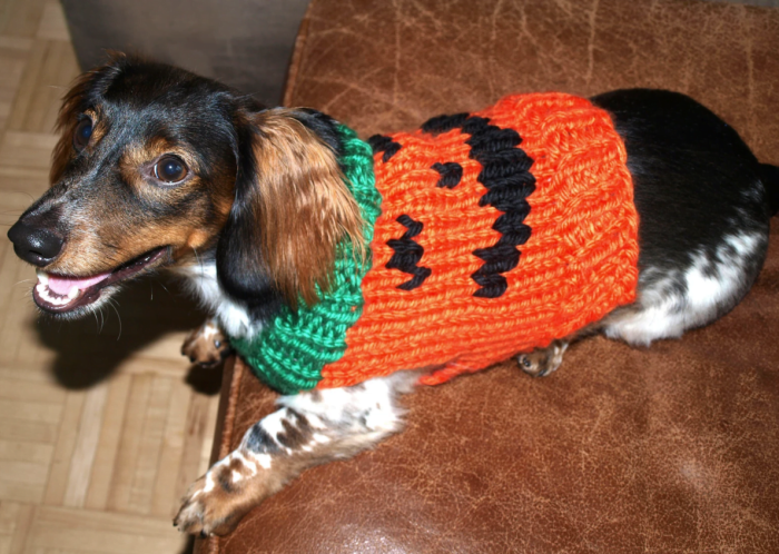 10-free-easy-knit-dog-sweater-patterns-romney-ridge-farm