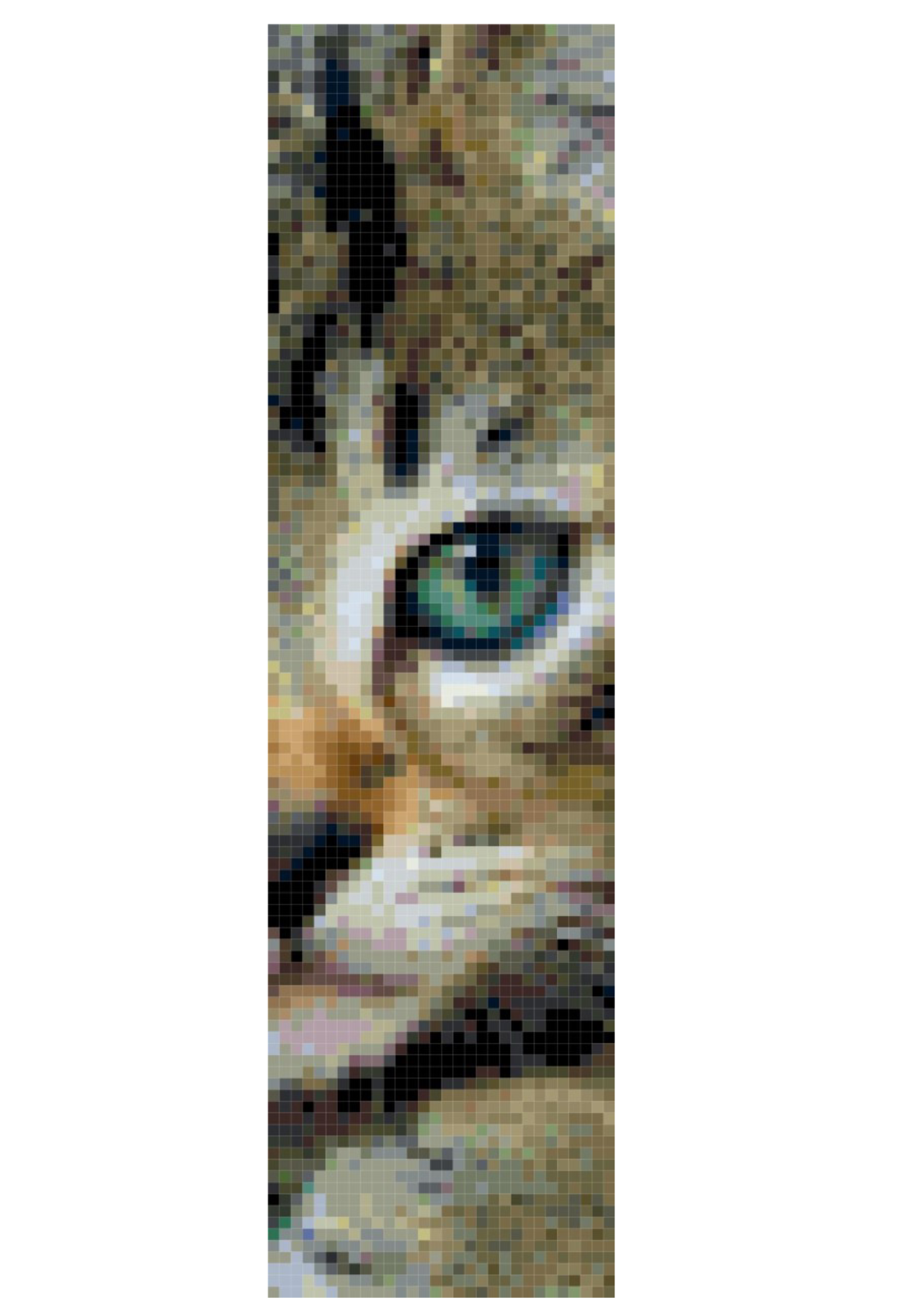 free cat bookmark cross stitch pattern