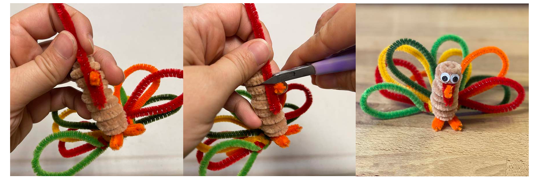 pipe cleaner turkey craft for thanksgiving