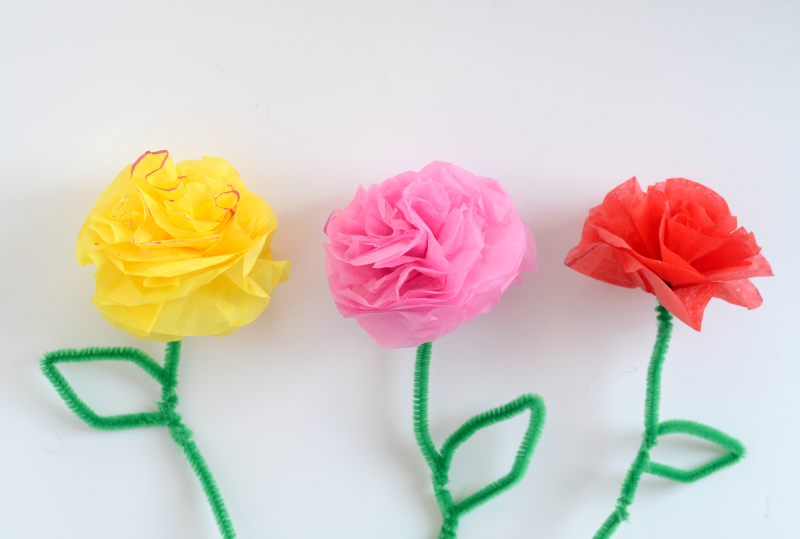 pipe cleaner flowers craft